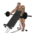Reverse Curl - Standing Incline Barbell Wide Grip